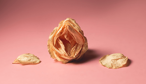 ressecamento-vaginal-500x288_widelg